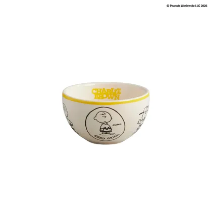 Mini Bowl Snoopy Charlie 311ml