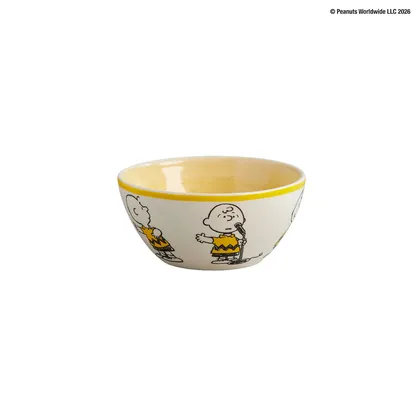 Bowl Snoopy Charlie 551ml
