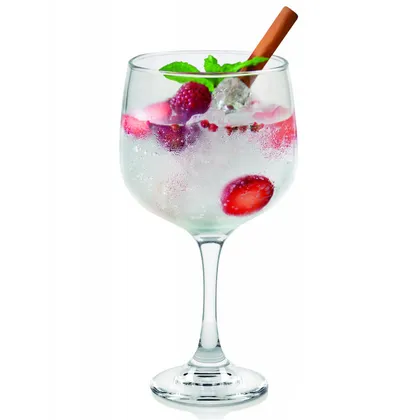 Copa Ginebra