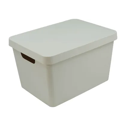 Caja organizadora con tapa. 17L. Beige