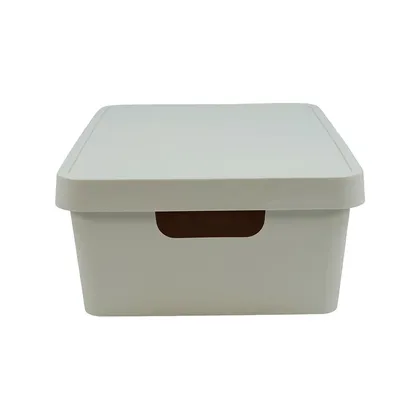 Caja organizadora con tapa. 11L. Beige