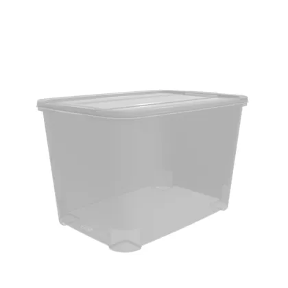 Caja Organizadora Basic Box 19L Natural