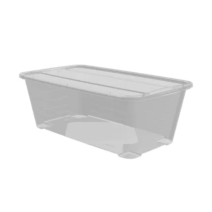 Caja Organizadora Basic Box 6L Natural