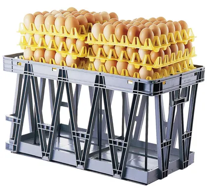 Caja plástica para transporte de bandejas de huevos gris