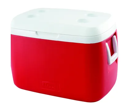 Nevera de 55 L