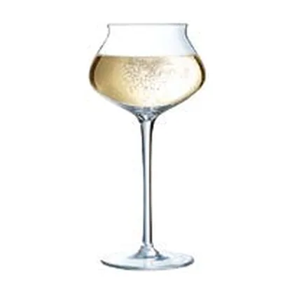 Copa Champagne & Cocktail 30 cl coupe