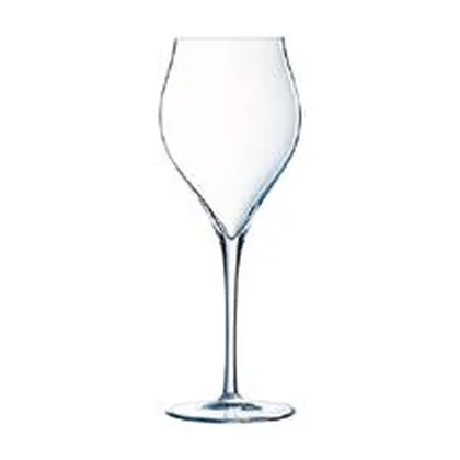 Copa Exaltation 30 cl