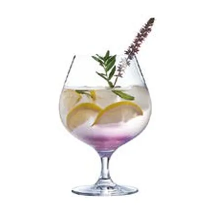 Copa Spirits 70 cl coñac