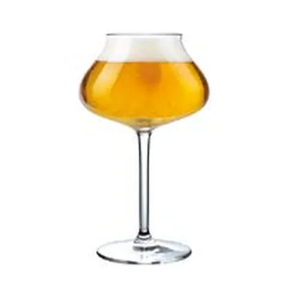 Vaso cervecero Beer Expert 43 cl